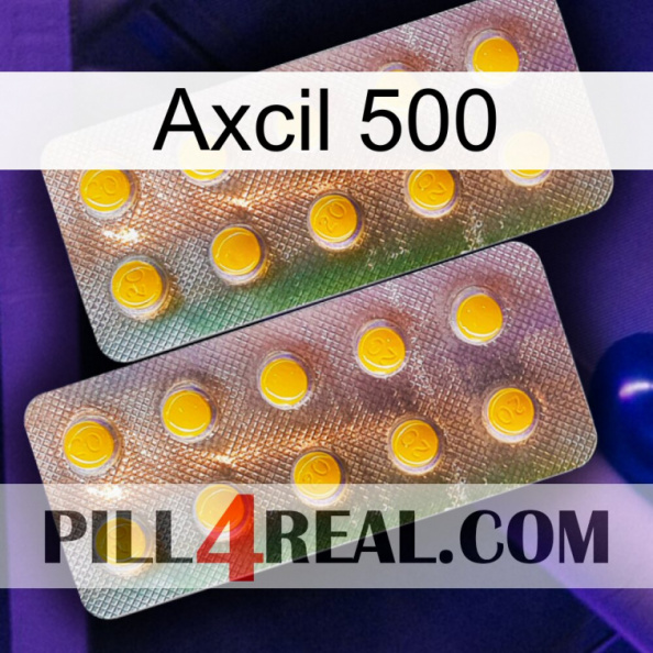 Axcil 500 new10.jpg